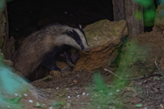 F19_26664_DxO32