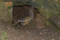 _DSC62274_DxO32