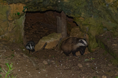 _DSC62314_DxO32