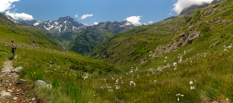 pano16