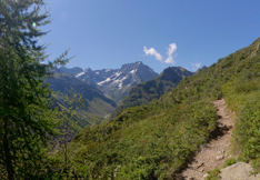 pano2