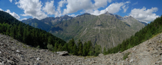 pano55