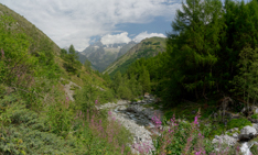 pano87
